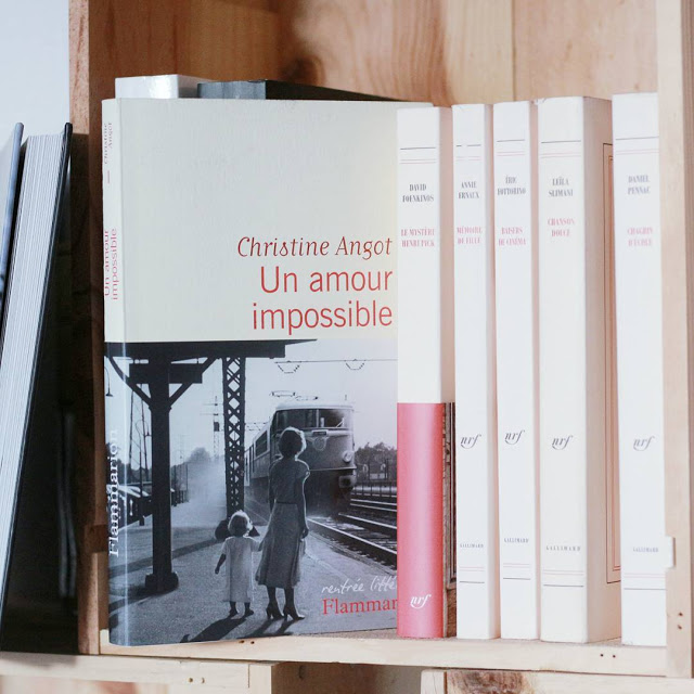 Un amour impossible - Christine Angot 3