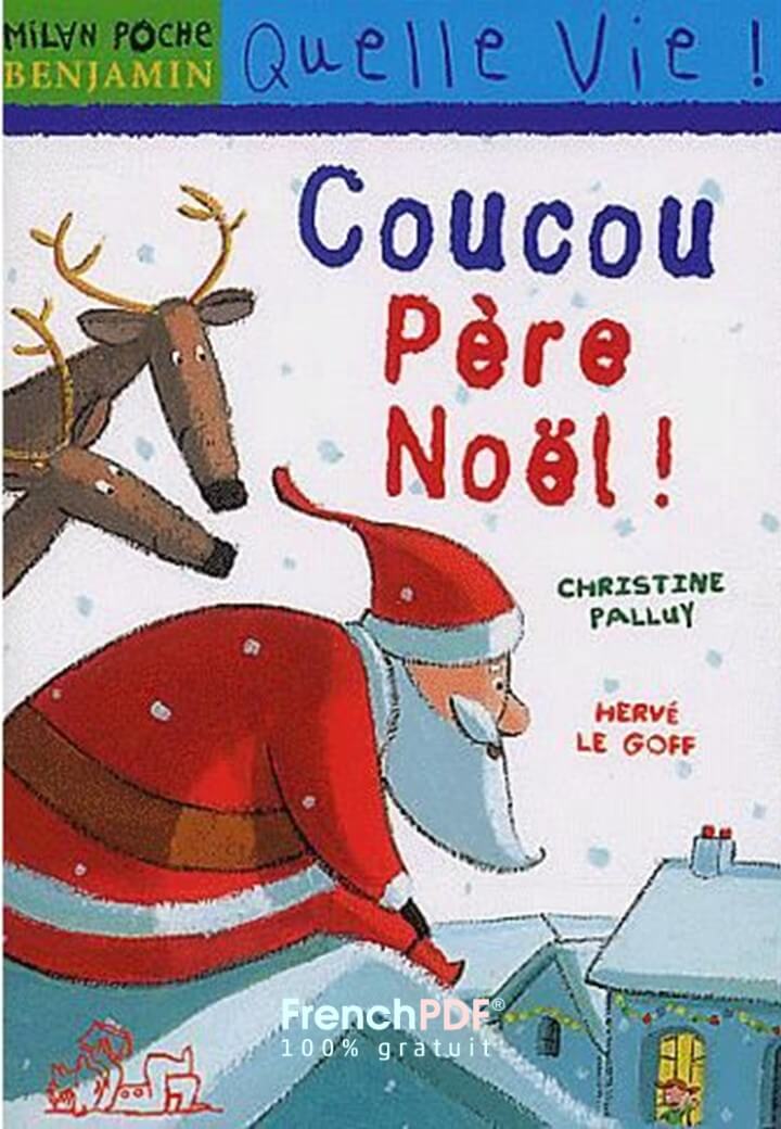 Livre pour enfant: Coucou Père Noël ! Par Palluy, Christine