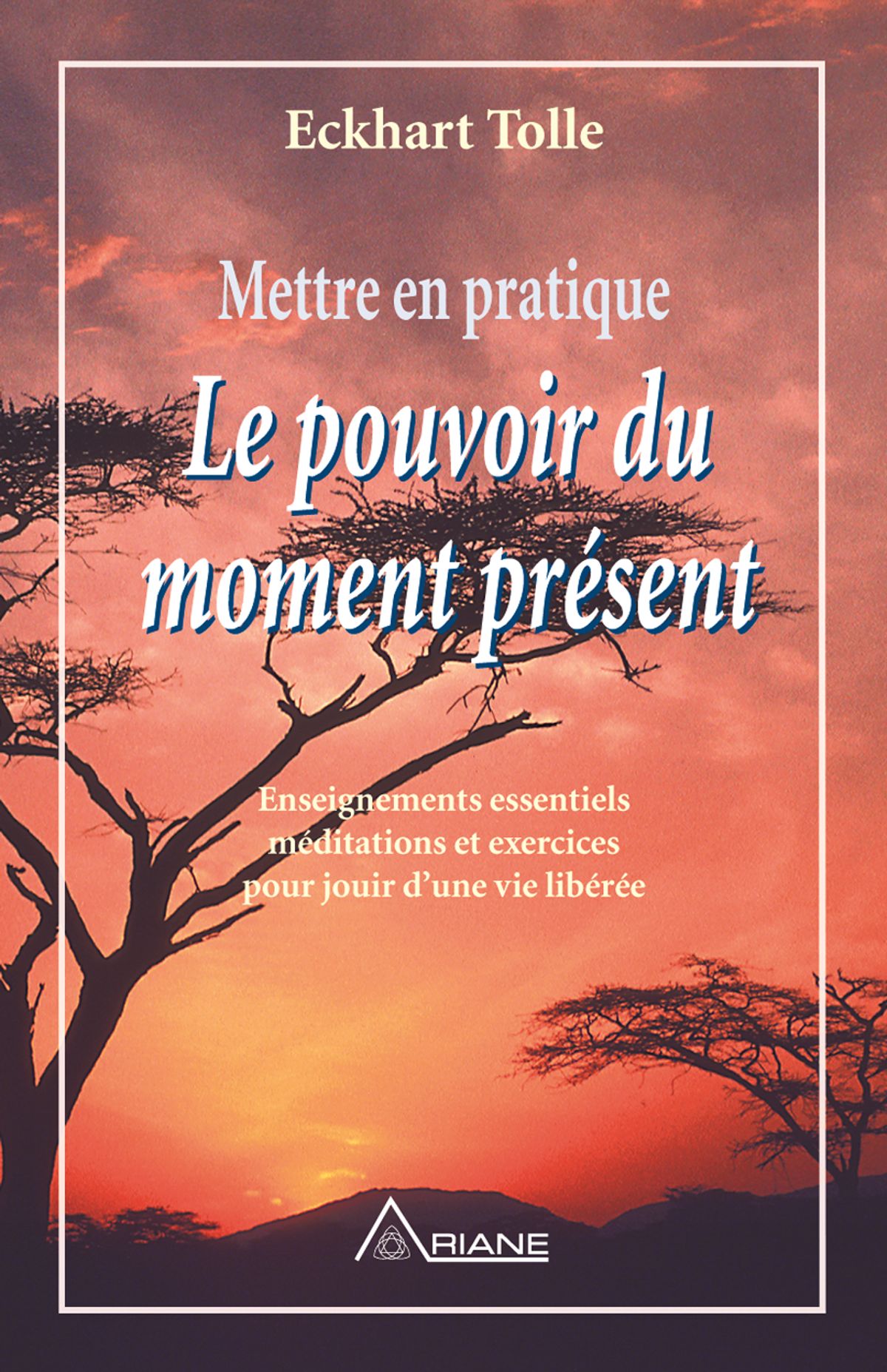 le-pouvoir-du-moment-present pdf - Eckhart Tolle