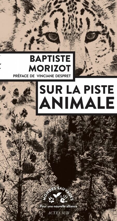 Sur la piste animale PDF de Baptiste Morizot