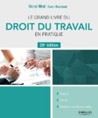 Le grand livre du droit du travail en pratique PDF