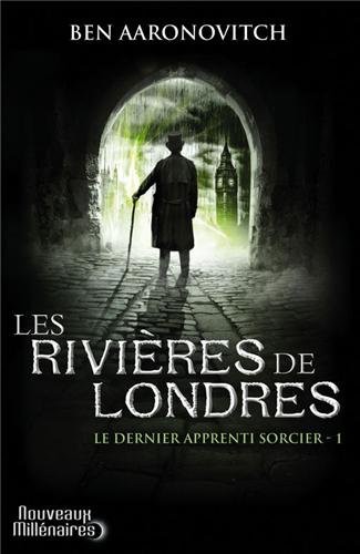 Le Rêve de l’Architecte PDF